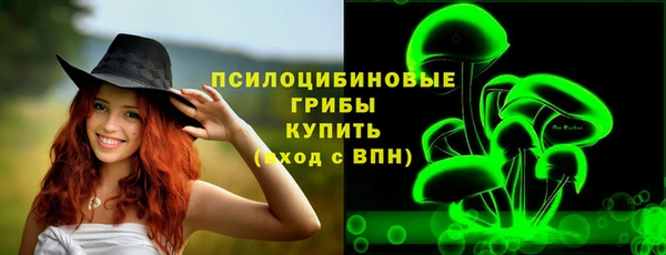 дживик Вязники