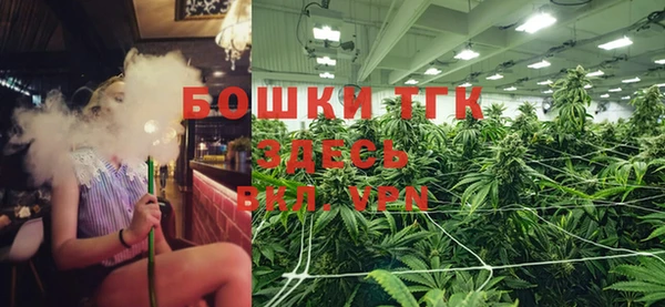 дживик Вязники