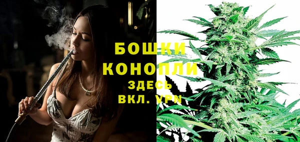 дживик Вязники